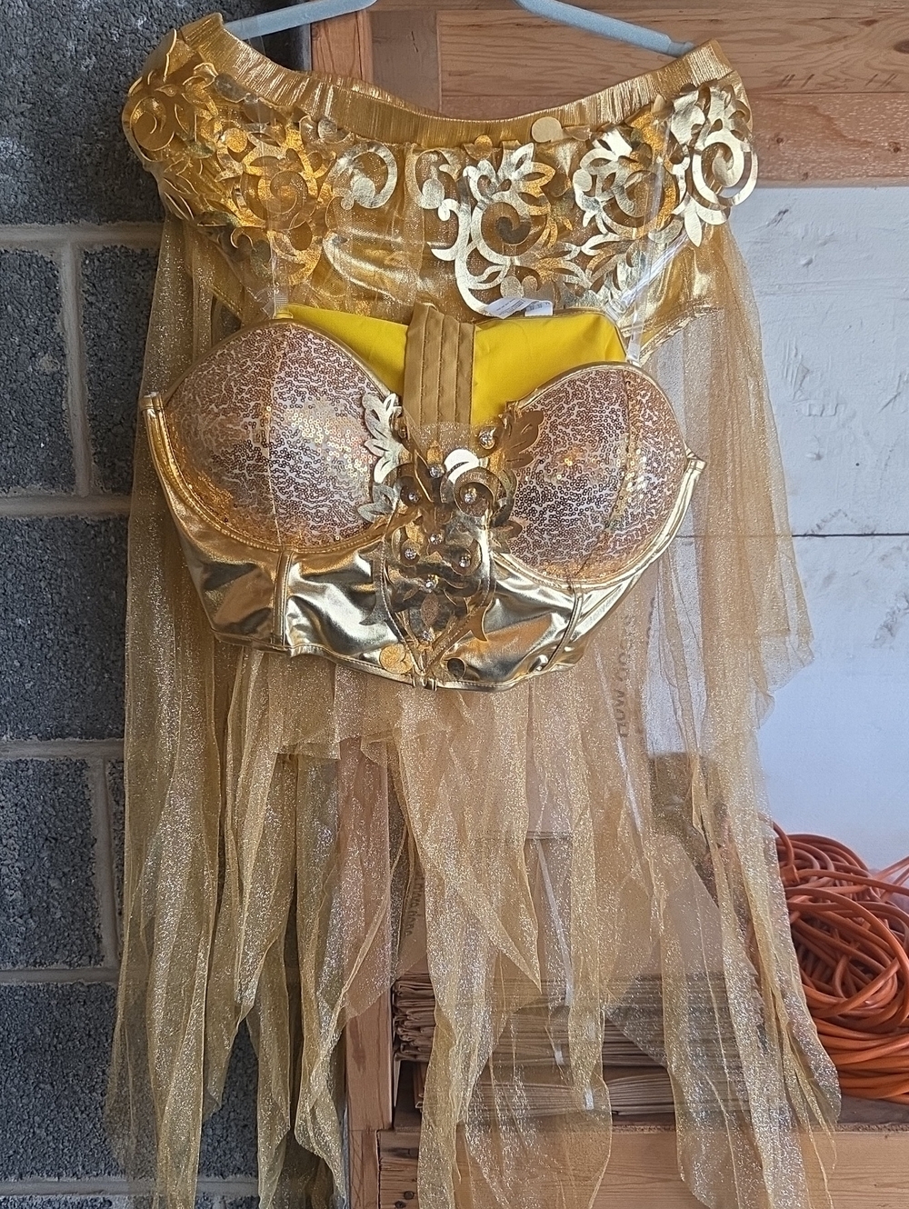 Gold Sequin Mesh Bustier Top - Women Accessories